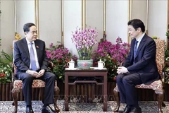 El presidente de la Asamblea Nacional de Vietnam, Tran Thanh Man (izquierda), y el primer ministro de Singapur, Lawrence Wong (Foto: VNA)