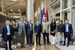 Representantes del Ministerio de Transporte de Vietnam y AFD (Foto: VNA)