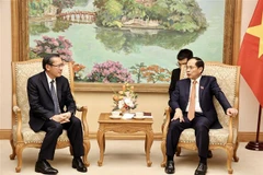 El vicepremier y ministro de Relaciones Exteriores de Vietnam, Bui Thanh Son (derecha), intercambia con el ministro de Energía y Minas de Laos, Phosay Sayasone. (Foto: VNA)