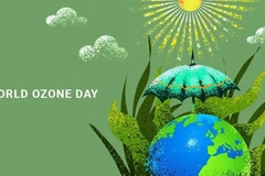 Vietnam se compromete a realizar acciones a favor de la capa de ozono