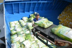 Prevén afectaciones de producción de arroz y café vietnamita por El Niño