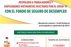 Respaldan a trabajadores y empleadores vietnamitas afectados por el COVID-19 