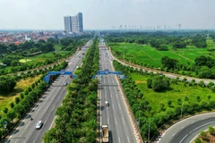 Hanoi refuerza cobertura de árboles en carreteras urbanas 