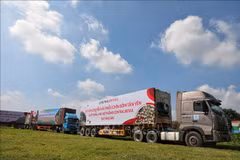 Bac Giang promueve ventas de lichi de maduración temprana