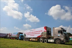 Bac Giang promueve ventas de lichi de maduración temprana
