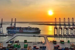 Modelo de zona de libre comercio vinculada a puertos marítimos en Ba Ria-Vung Tau aporta oportunidades