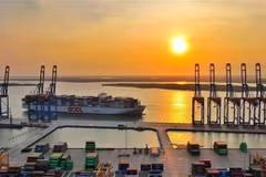 Modelo de zona de libre comercio vinculada a puertos marítimos en Ba Ria-Vung Tau aporta oportunidades