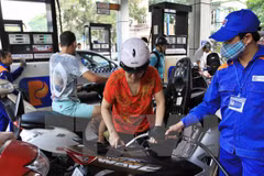 Vietnam determina aumentar uso de biogasolina