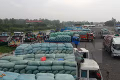 Destacado ascenso de exportación arrocera vietnamita a África
