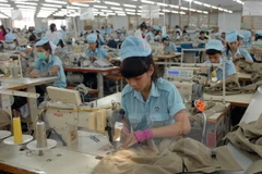 Textil vietnamita busca elevar uso de materias primas nacionales