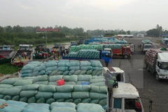 Destacado ascenso de exportación arrocera vietnamita a África