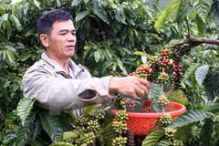 Acelera la región altiplana modernización rural