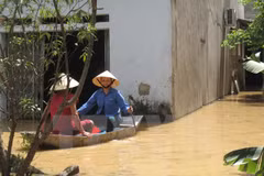 Enormes pérdidas en Thanh Hoa por intensas lluvias