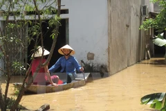 Enormes pérdidas en Thanh Hoa por intensas lluvias