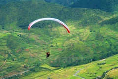 Parachutes revolotean sobre arrozales dorados de Lim Mong 