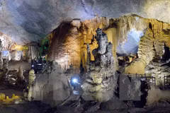 Invierten millones de euros en preservación de Parque Nacional Phong Nha-Ke Bang