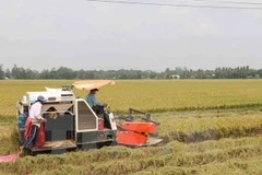 Venezuela oficializa acuerdos agrícolas con Vietnam