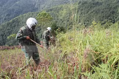 Acomete Ha Tinh desactivación de bombas sin explotar