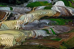 La belleza de las terrazas de Mu Cang Chai 