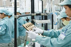 Divulga Vietnam decreto sobre publicidad de datos empresariales