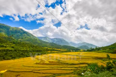 Un "mini Sa Pa" en la provincia costera de Quang Ninh