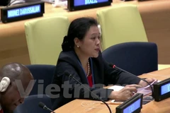 Vietnam respalda a ejecución jurídica sobre la base de Carta de ONU