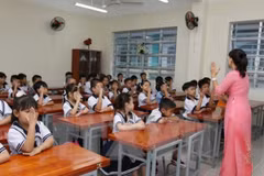 Opinión pública respalda nuevo proyecto de educación general