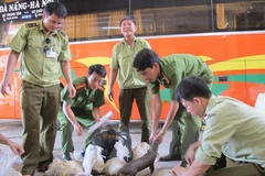 Honran a vietnamitas por esfuerzos en protección de animales salvajes