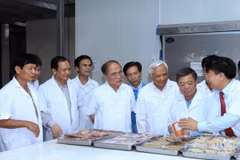 Patentizan respaldo de Parlamento a desarrollo de proyectos en Ha Tinh