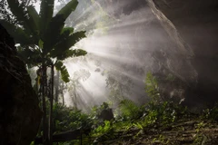 Fotos de Son Doong que parecen de un edén escondido 