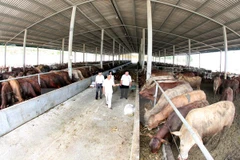 Grupo estadounidense Cargill amplía inversión en Vietnam