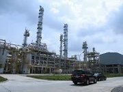  Inversión vietnamita en extracción de sal de roca