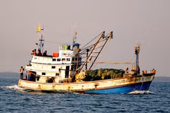 Detienen barcos tailandeses que pescan ilegalmente en mar vietnamita