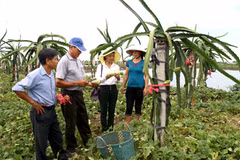 Acelera NinhBinh esfuerzos en construcción de nueva ruralidad