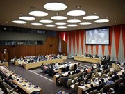 Membresía en ECOSOC muestra confianza mundial en Vietnam
