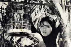 Amigos alemanes “repatrían” más de 200 filmes valiosos sobre Vietnam