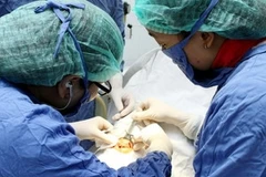 Lanzan campaña de donación de córnea en Viet Nam 