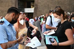 Vietnam emite instrucciones detalladas para entrada de visitantes internacionales