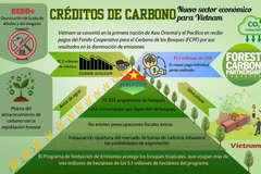 Bonos de carbono, sector en crecimiento en Vietnam 