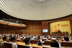 Parlamento de Vietnam debate cuestiones socioeconómicas importantes. (Fuente:VNA)