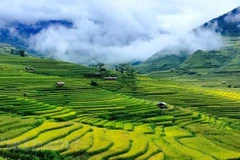 Mu Cang Chai entre los 25 destinos con "belleza surrealista” 