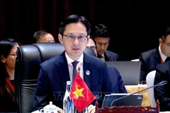 El viceministro de Relaciones Exteriores de Vietnam Do Hung Viet. (Fuente: VNA)