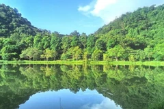 Cuc Phuong de Vietnam distinguido como parque nacional líder de Asia en 2024