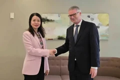 La vicecanciller vietnamita Nguyen Minh Hang y Jeppe Tranholm-Mikkelsen, vicesecretario de Estado permanente del Ministerio de Asuntos Exteriores de Dinamarca. (Fuente: VNA)