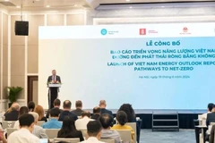 En el evento (Fuente: La Embajada de Dinamarca en Vietnam)