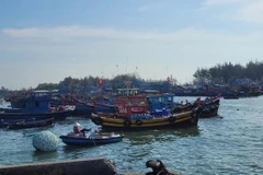 Ba Ria-Vung Tau intensifica esfuerzos para combatir pesca ilegal (Fuente: VNA)