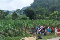 Escena del accidente (Fuente:VNA)