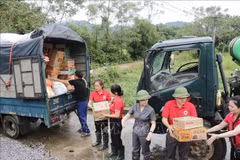Voluntarios trasladan bienes esenciales a los afectados por el tifón Yagi. (Fuente: VNA)