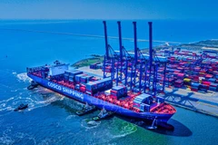 Vietnam agiliza desarrollo de flota naviera nacional