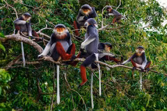 Provincia de Ninh Thuan preserva biodiversidad para desarrollo sostenible